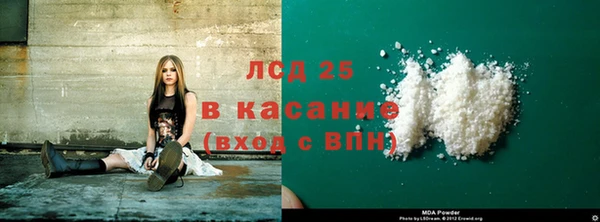 шишки Коряжма