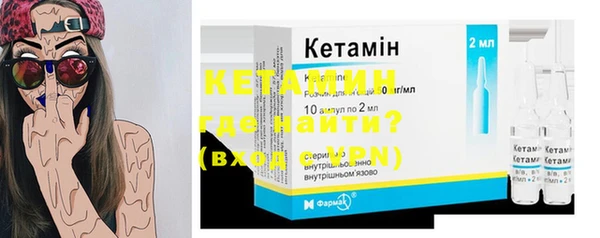 шишки Коряжма