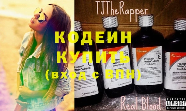 шишки Коряжма
