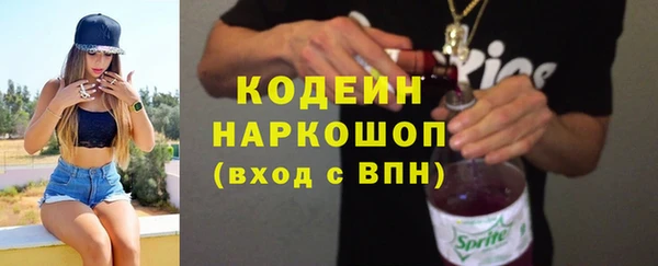 шишки Коряжма