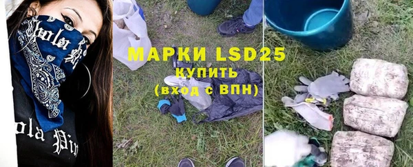 шишки Коряжма