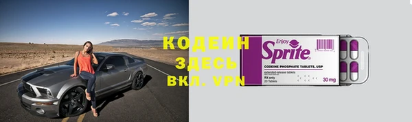 ГАЛЛЮЦИНОГЕННЫЕ ГРИБЫ Костерёво
