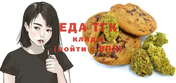 шишки Коряжма