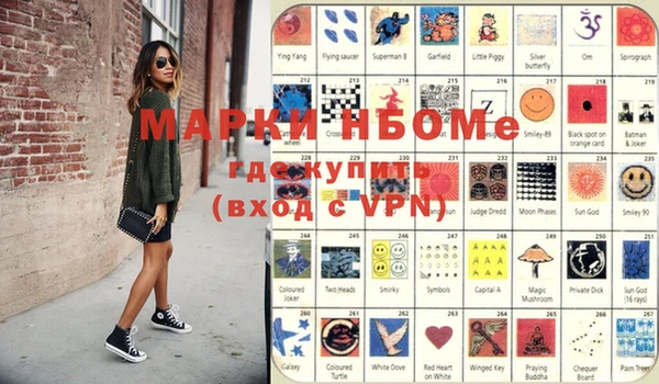 шишки Коряжма