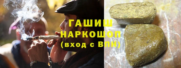 шишки Коряжма