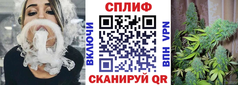 Купить закладки  Асино  Каннабис семена 